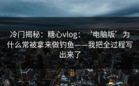 冷门揭秘：糖心vlog：‘电脑版’为什么常被拿来做钓鱼——我把全过程写出来了