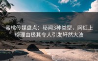 蜜桃传媒盘点：秘闻3种类型，网红上榜理由极其令人引发轩然大波