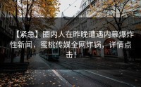 【紧急】圈内人在昨晚遭遇内幕爆炸性新闻，蜜桃传媒全网炸锅，详情点击！