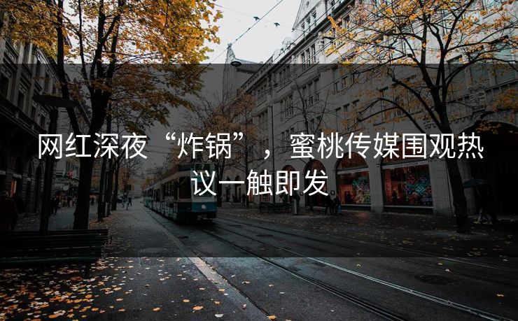网红深夜“炸锅”,蜜桃传媒围观热议一触即发 网红深夜“炸锅”,蜜桃传媒围观热议一触即发